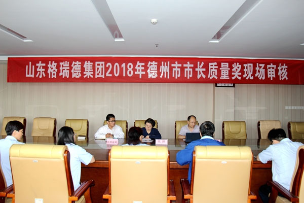 德州市市長(zhǎng)質(zhì)量獎(jiǎng)審核專(zhuān)家蒞臨格瑞德現(xiàn)場(chǎng)審查